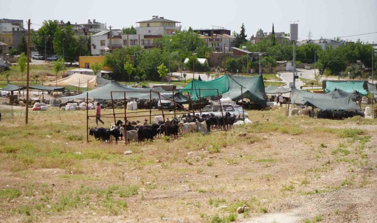 Kurban kesim ve satış alanları belirlendi