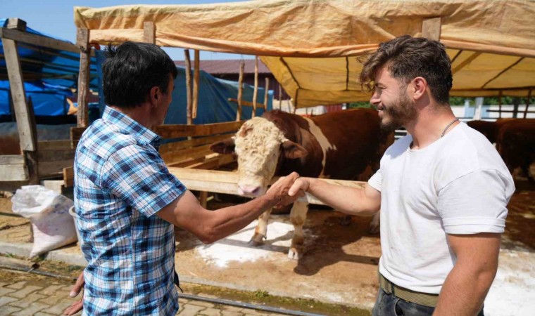 Kurban pazarlarına ‘yurt dışı etkisi