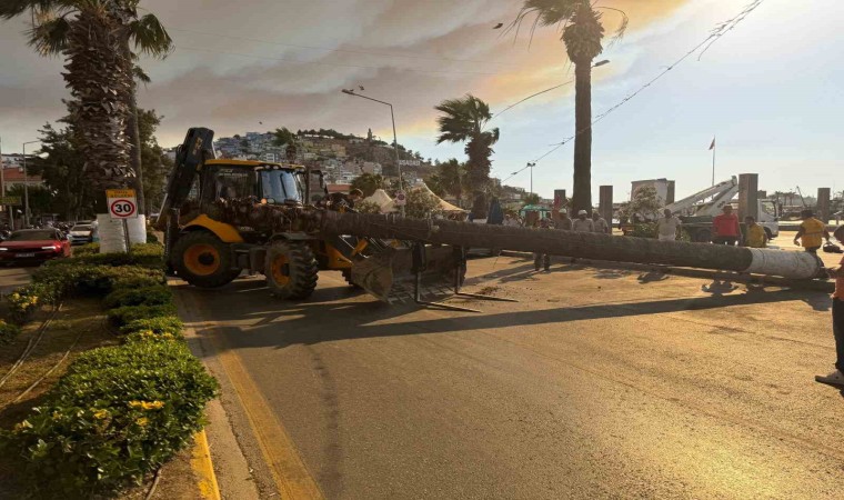 Kuşadasında devrilen ağaç ekiplerin müdahalesiyle kaldırıldı