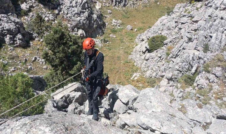 Mahsur kalan küçükbaş hayvanlar kurtarıldı