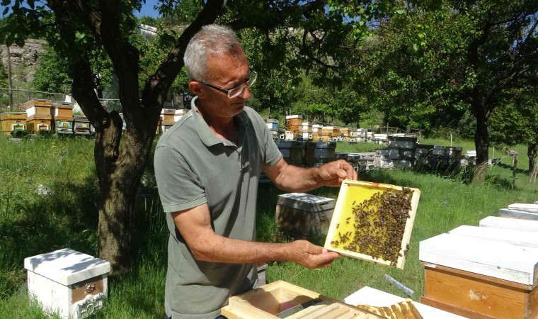 Malatyada arıcılar hasat için gün sayıyor