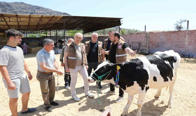 Manisada yangın felaketinin yaraları sarılıyor