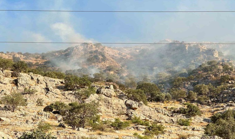 Mardinde ormanlık alanda çıkan yangına müdahale devam ediyor