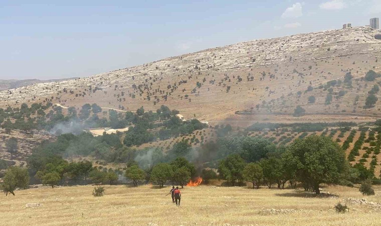 Mardindeki orman yangını söndürüldü