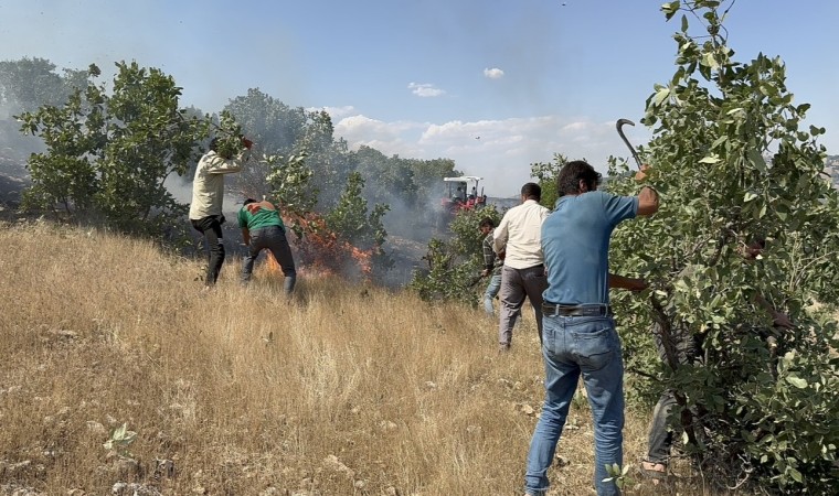 Mazıdağında 20 dönüm ekili arazi küle döndü