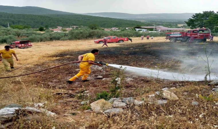 Menteşede tarlada çıkan ot yangın korkuttu