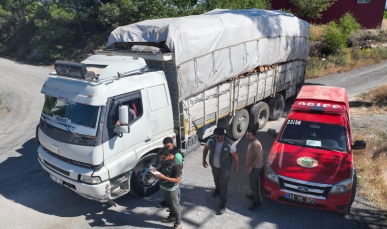 Mersinde orman kaçakçılığına yönelik denetim yapıldı