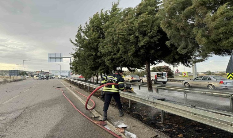 Mersinde refüjdeki ağaçlar yandı