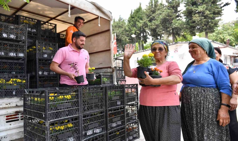 Mersinde sivrisinek ve haşere ile bitkisel mücadele