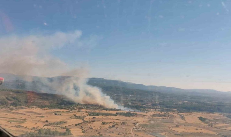 Milas Demircilerde orman yangını