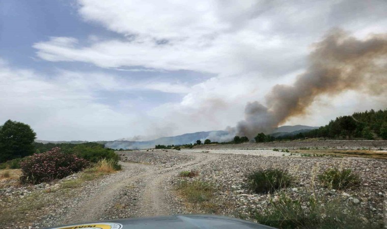 Muğla sınırında başlayan orman yangını Denizliye sıçradı