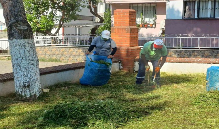 Nazilli Belediyesinden parklarda temizlik seferberliği