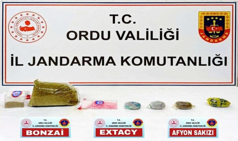 Orduda uyuşturucu operasyonu: 1 tutuklama