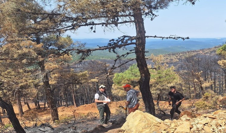 Orhanelindeki yangında 96 hektar orman kül oldu, ağaçlandırma çalışması başladı