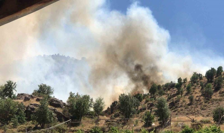 Ormanlık alanda çıkan örtü yangını korkuttu