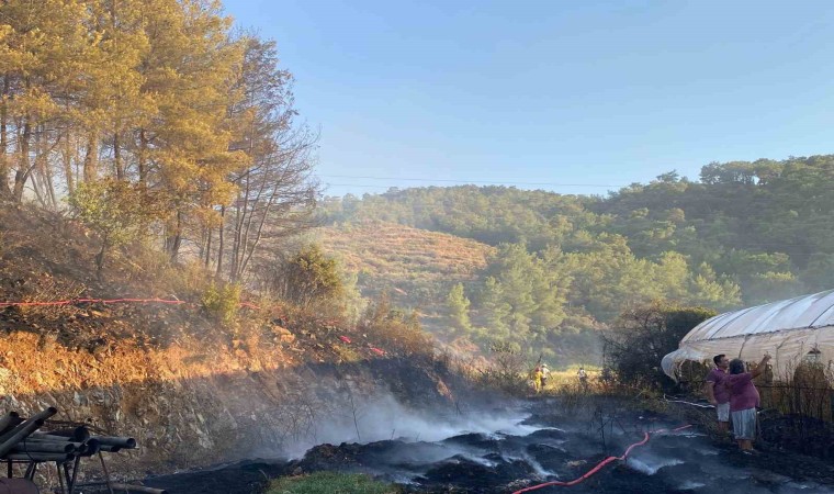 Ortacadaki yangında 2 sera zarar gördü