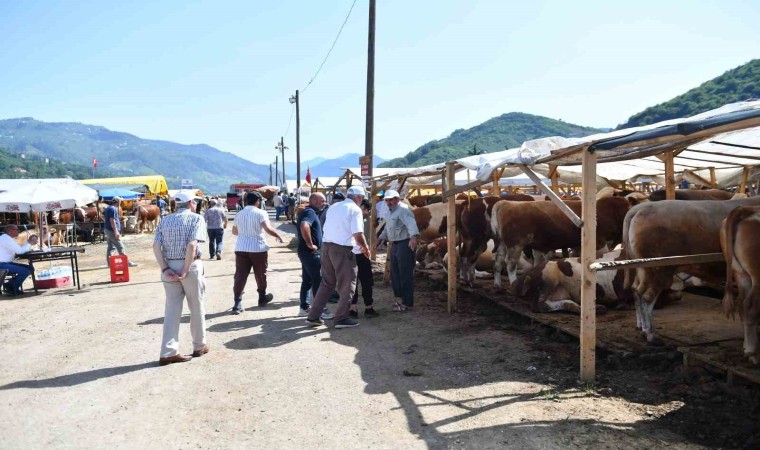 Ortahisar, Kurban Bayramına hazır