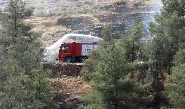 Şanlıurfada ormanlık alanlara giriş yasaklandı