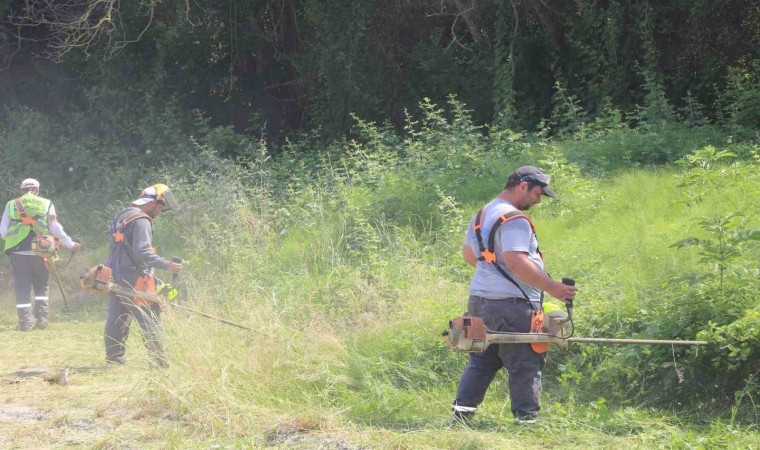 Serdivanda sokakları yabani otlardan arındırılıyor