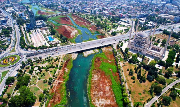 Seyhan Nehrini kaplayan yosunlar insan boyunu geçti, kötü koku kenti kapladı