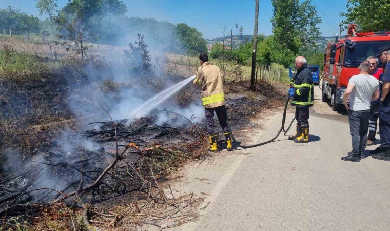 Sinopta kuru dallar yandı, elektrik direği zarar gördü