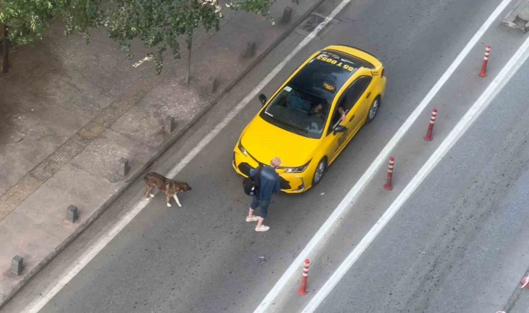 Şişede durduğu gibi durmadı: Alkollü şahıs trafiği tehlikeye düşürdü