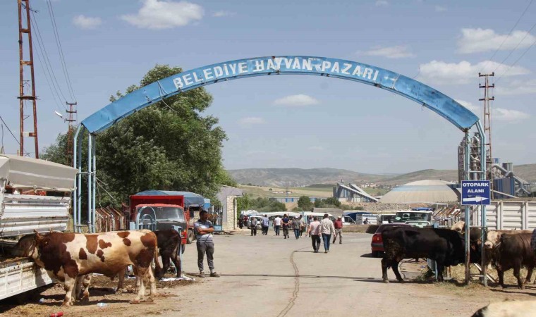 Sivas Kurban pazarı esnafı dertli