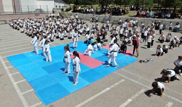 Sivasta 450 kişilik karate gösterisi dikkat çekti