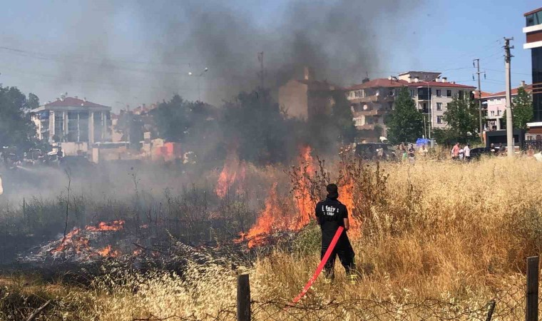 Tekirdağda mahalle arasındaki arazi yangını korkuttu: 50 güvercin son anda kurtarıldı