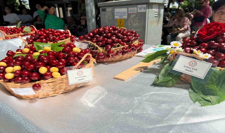 Tekirdağda yarım asırdır devam eden festival başladı