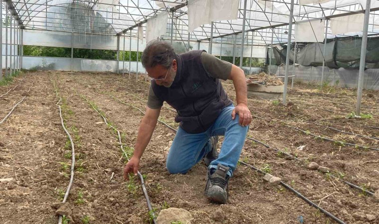 Terasında başladığı tarıma 21 dönümlük arazisinde devam ediyor