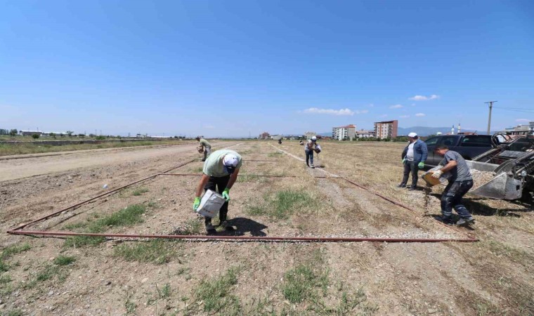 Turgutluda Kurban Bayramı için hummalı hazırlık