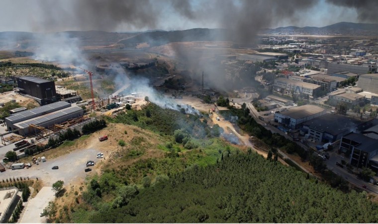 Tuzladaki fabrika yangını ağaçlık alana sıçradı