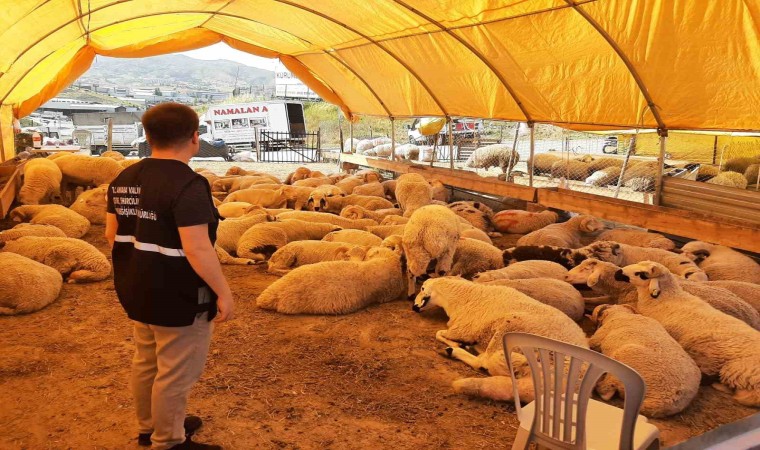 Umuma açık alanlarda kurban kesenlere ceza yağacak