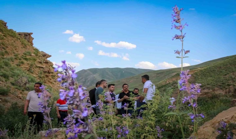 Vali Ali Çelik, Hakkari dağlarında su kaynağı aradı