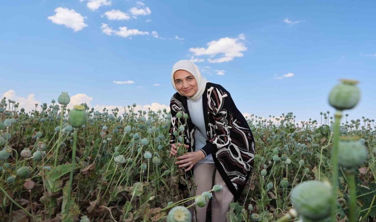 Vali kentin simgesi ‘haşhaş ile poz verdi