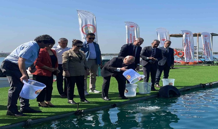 Vali Köşger: Her Adanalı için göle bir sazan bırakıyoruz