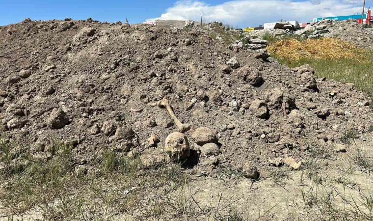 Vanda hafriyat atıkları arasında insan kemikleri bulundu