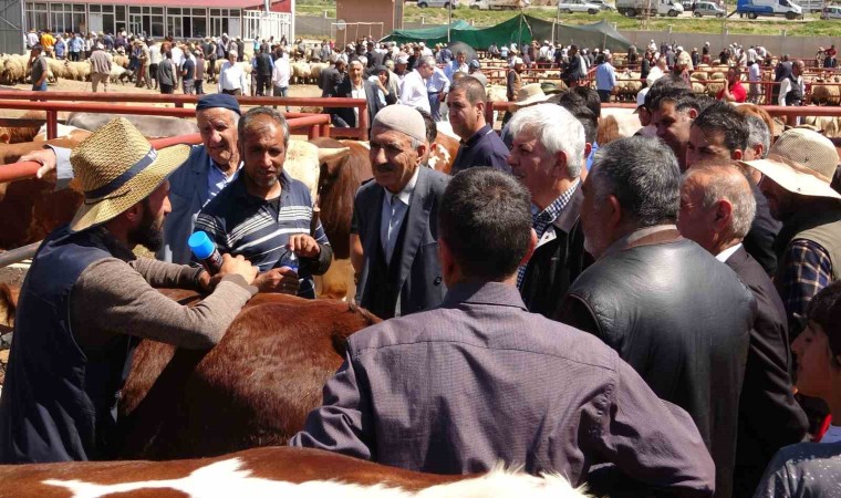 Vanda kurban pazarlarında sıkı pazarlıklar başladı