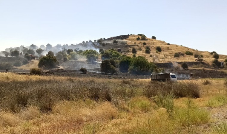 Aliağadaki otluk yangınına havadan ve karadan müdahale