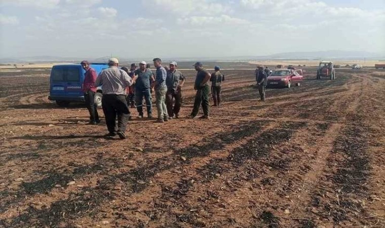 Altıntaşta çıkan yangında yaklaşık 3 bin dekar ekili alanda zarar gördü