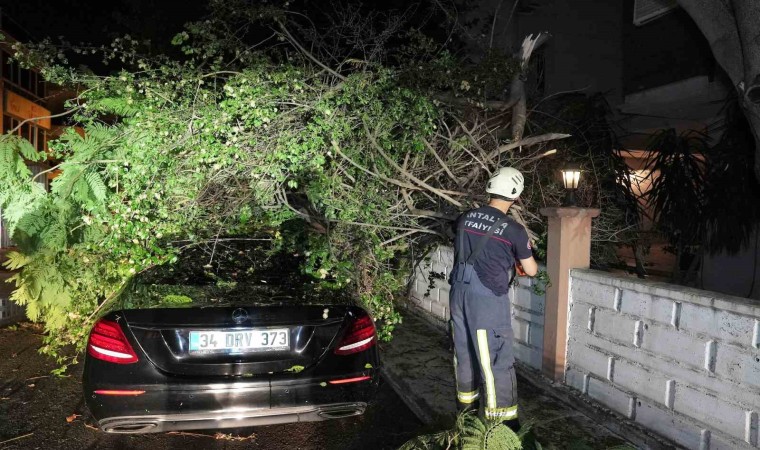 Antalya Büyükşehirden fırtınaya hızlı müdahale