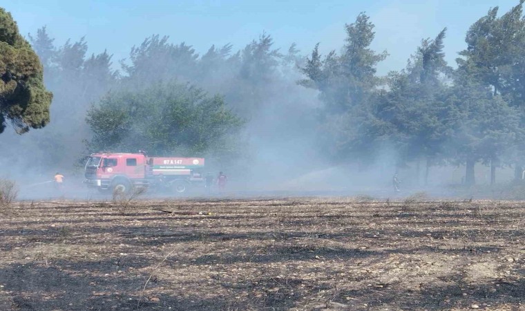 Antalyada boş arazide çıkan yangın ormanlık alana sıçradı