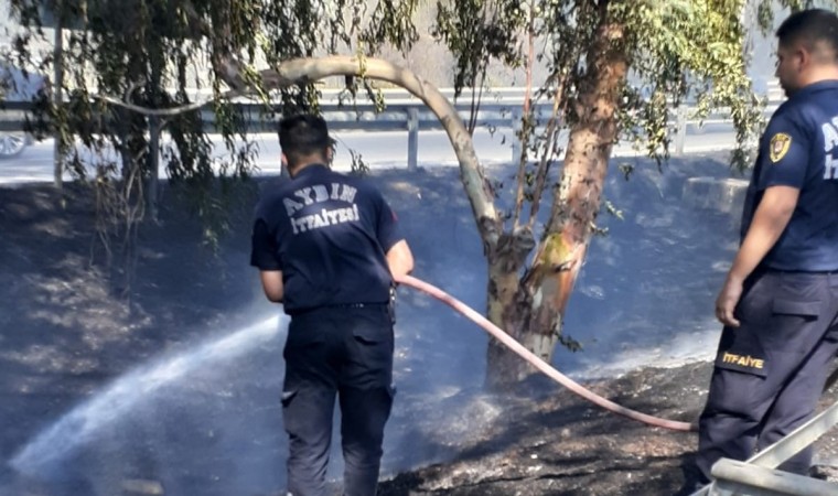 Aydın Büyükşehir Belediyesinin ateş savaşçıları yangından yangına koştu