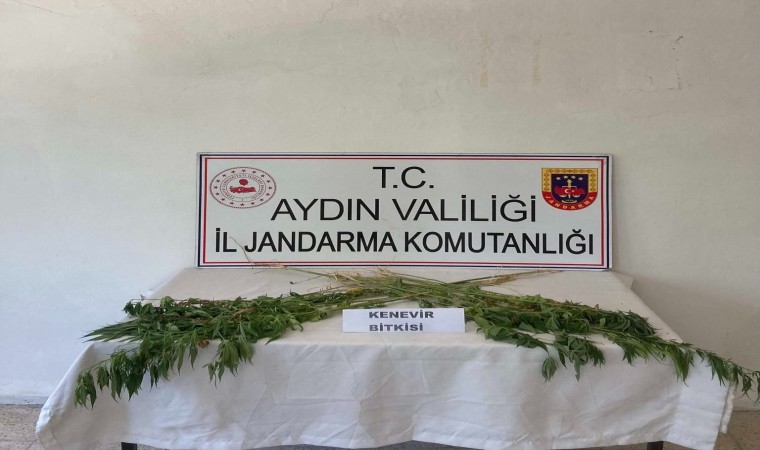 Aydında jandarma ekipleri uyuşturucuya geçit vermiyor