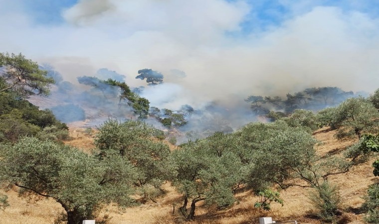 Aydındaki yangına havadan ve karadan müdahale devam ediyor