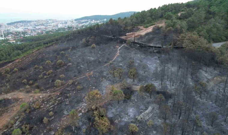 Aydosta yanan ormanlık alanın son hali havadan görüntülendi