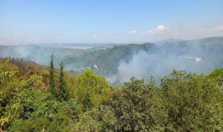 Balıkesirdeki orman yangınlarına müdahale sürüyor