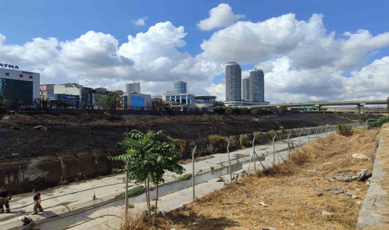 Basın Ekspres Yolunda 2 genç yol kenarında bulunan otları ve ağaçları yakıp kaçtı