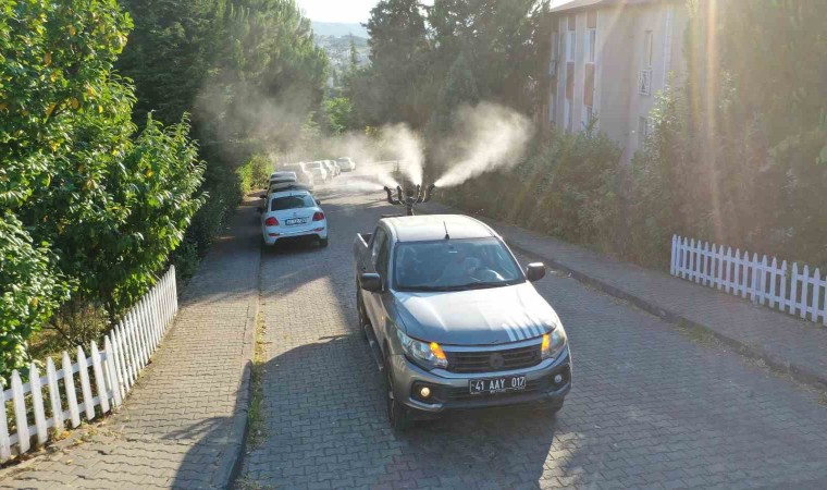 Başiskelede vektörle mücadele başladı